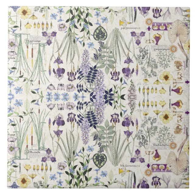 Azulejo botânico das flores de Nouveau da arte (Frente)