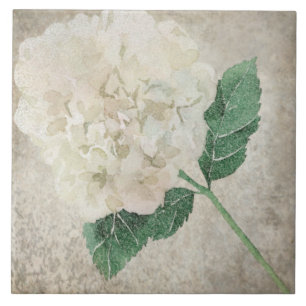 Azulejo Botânico envelhecido - Aqua e Osso V2