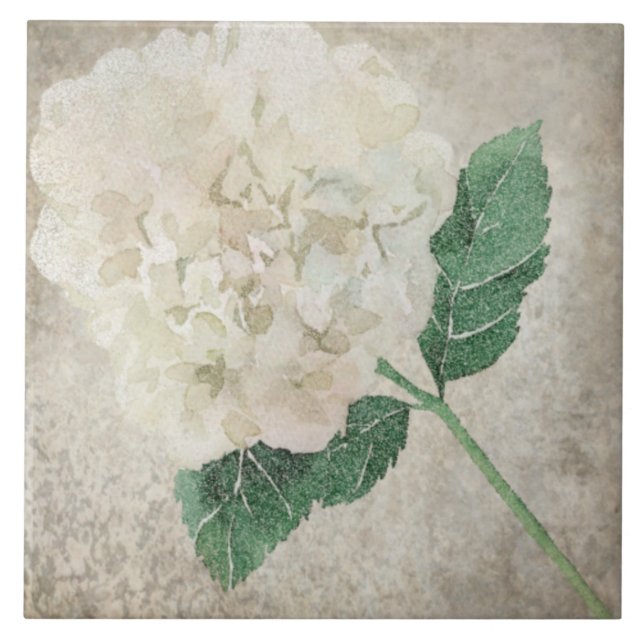 Azulejo Botânico envelhecido - Aqua e Osso V2 (Frente)