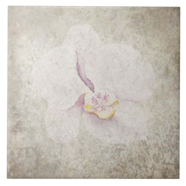 Azulejo Botânico envelhecido - Aqua e Osso V5 (Frente)