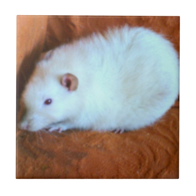 Azulejo branco do rato do Snowball (Frente)
