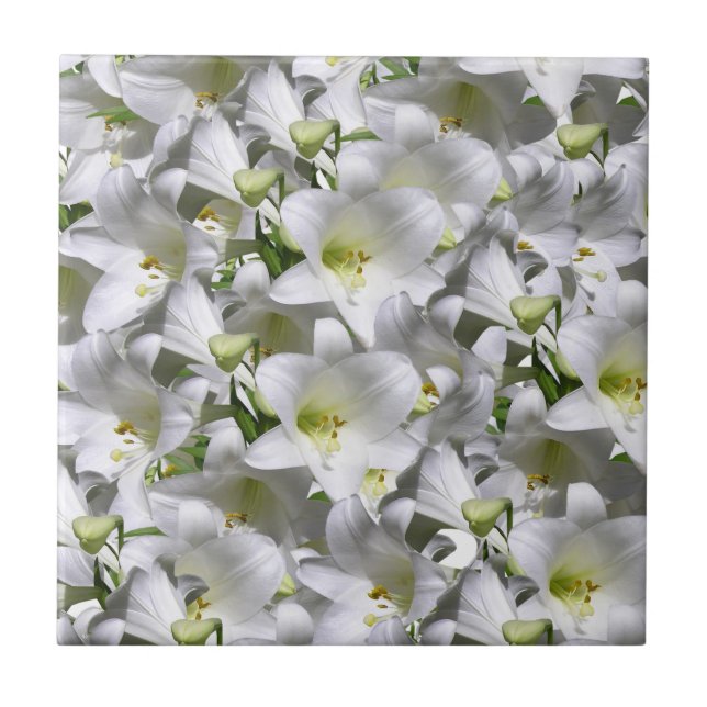 Azulejo Branco Floral (Frente)