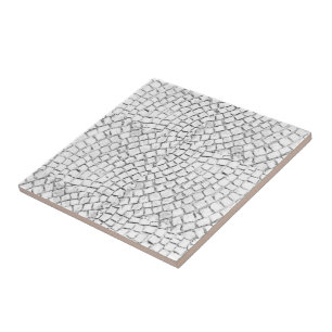 Azulejo Branco Pavimentação Cerâmica
