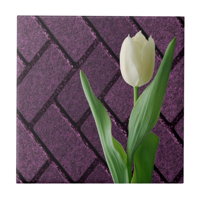 Azulejo Branco Tulipa Floral Roxa (Frente)