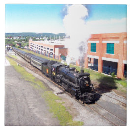 Azulejo canadense da foto do nacional #3254 Mikado