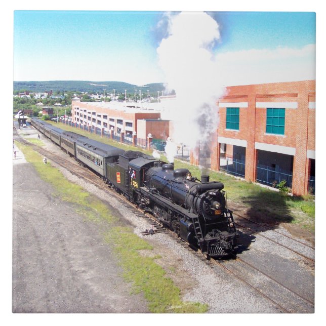 Azulejo canadense da foto do nacional #3254 Mikado (Frente)