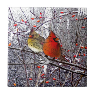 Azulejo cardinal da floresta