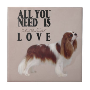 azulejo Cavalier King Charles Spaniel