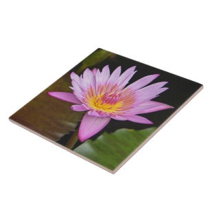 AZULEJO CERAMIC/ COR LOTUS BLOSSOM/CENTRO AMARELO