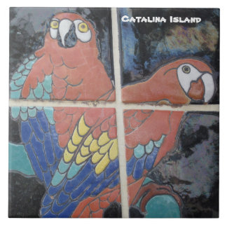 AZULEJO CERAMIC DA CATALINA ILHA