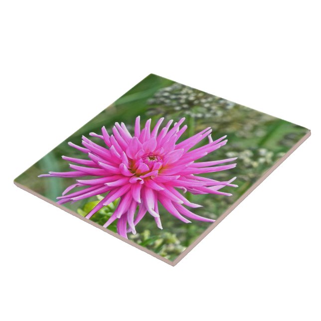 AZULEJO CERAMIC/PINK DAHLIA (Lateral)