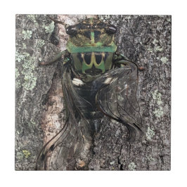 Azulejo Cerâmica de Cicada
