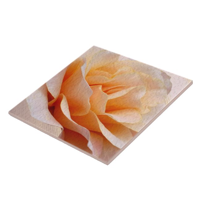 Azulejo cerâmico (Lateral)