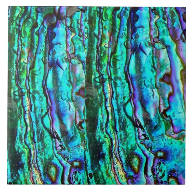 azulejo cerâmico Abalone (Frente)