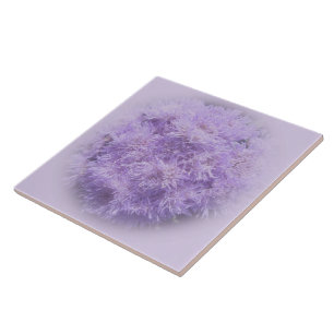 Azulejo cerâmico - Ageratum