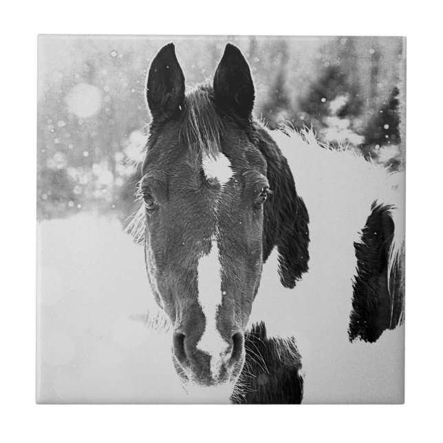 Azulejo cerâmico B&W de cavalo de inverno (Frente)