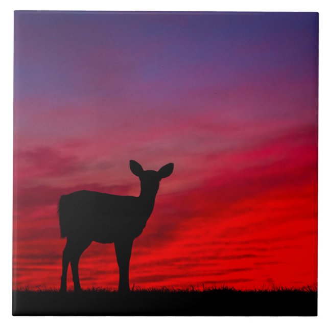 Azulejo cerâmico Baby Deer (Frente)