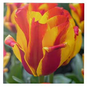 azulejo cerâmico Banja Luka tulip