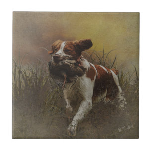 Azulejo cerâmico Brittany spaniel