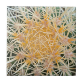 Azulejo cerâmico Cactus