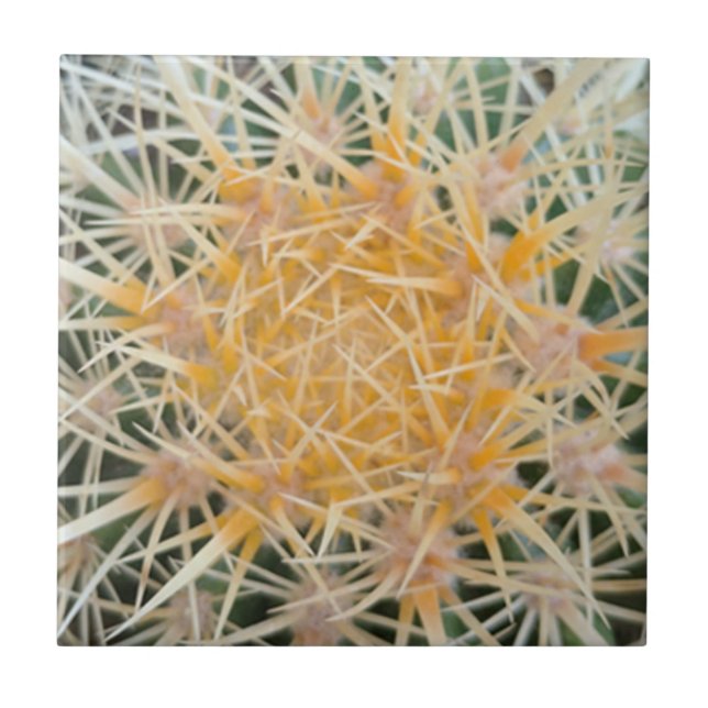 Azulejo cerâmico Cactus (Frente)