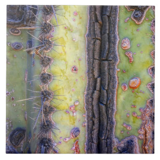 Azulejo cerâmico Cactus Macro