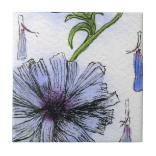 azulejo cerâmico "Chickory" de cozinha