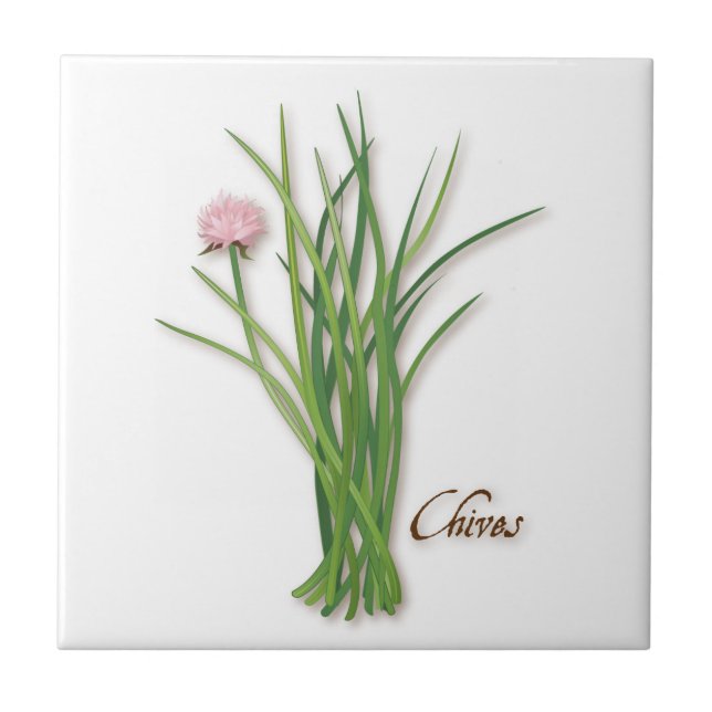 Azulejo cerâmico Chives Herb (Frente)