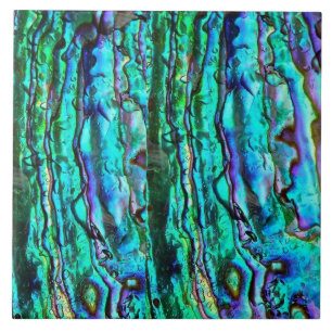 Azulejo cerâmico com estampa de abalone