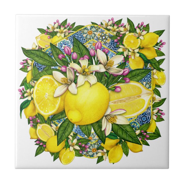 Azulejo cerâmico Cor 6 Padrão Mediterrânico (Frente)