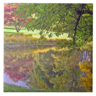 AZULEJO CERÂMICO/CORES BELAS REFLETIDAS EM POND