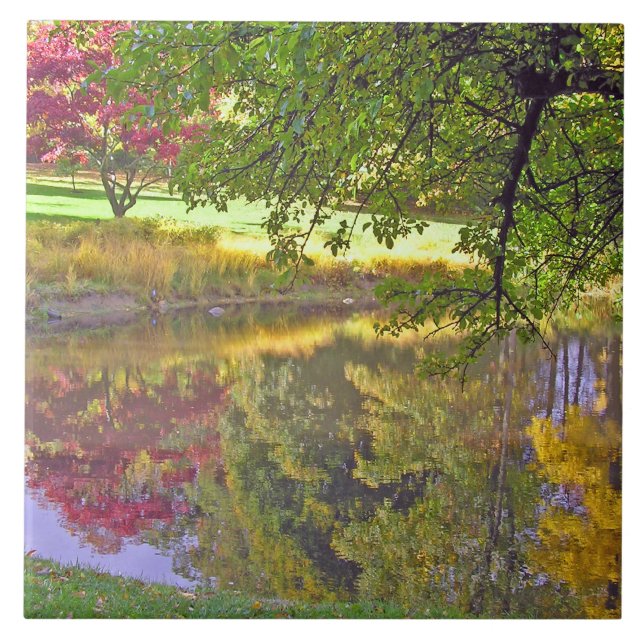 AZULEJO CERÂMICO/CORES BELAS REFLETIDAS EM POND (Frente)