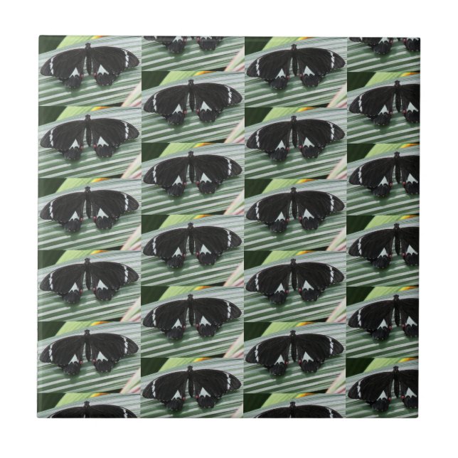 Azulejo cerâmico da Borboleta Preta e Branca (Frente)