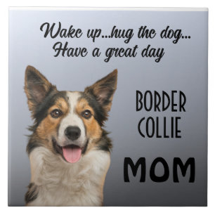 Azulejo Cerâmico da Border Collie