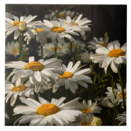 azulejo cerâmico da Daisies de Verão