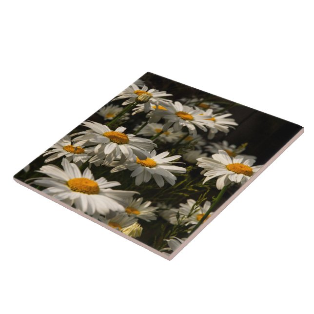 azulejo cerâmico da Daisies de Verão (Lateral)