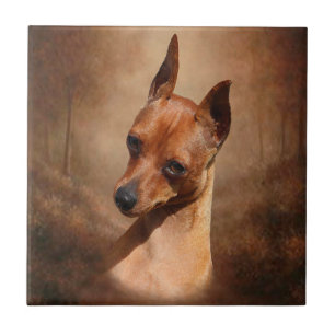 Azulejo cerâmico da foto do Pinscher diminuto
