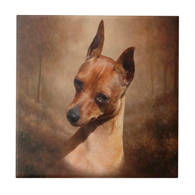 Azulejo cerâmico da foto do Pinscher diminuto (Frente)
