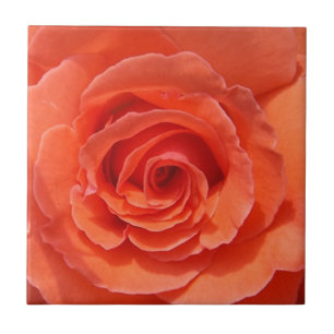 Azulejo cerâmico da foto do rosa do pêssego