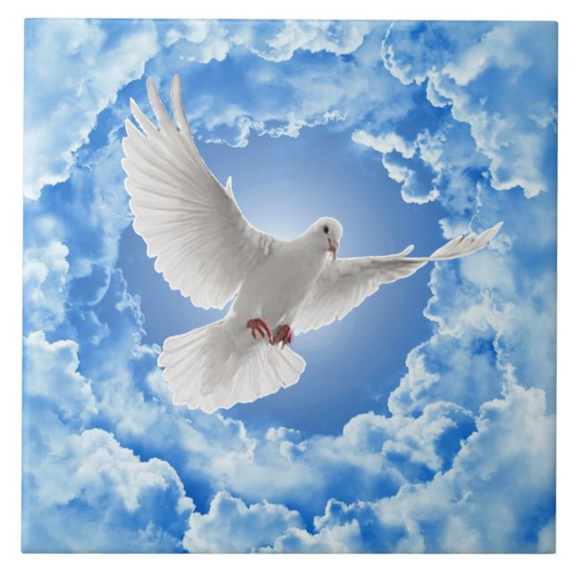 Azulejo cerâmico da porta (Frente)