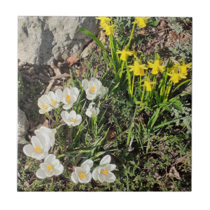 Azulejo cerâmico Daffodils & Crocus