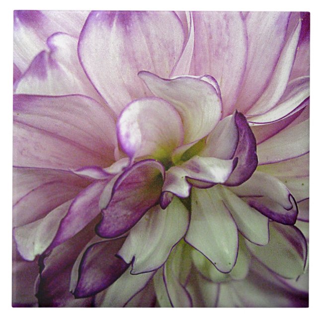 Azulejo cerâmico Dahlia (Frente)