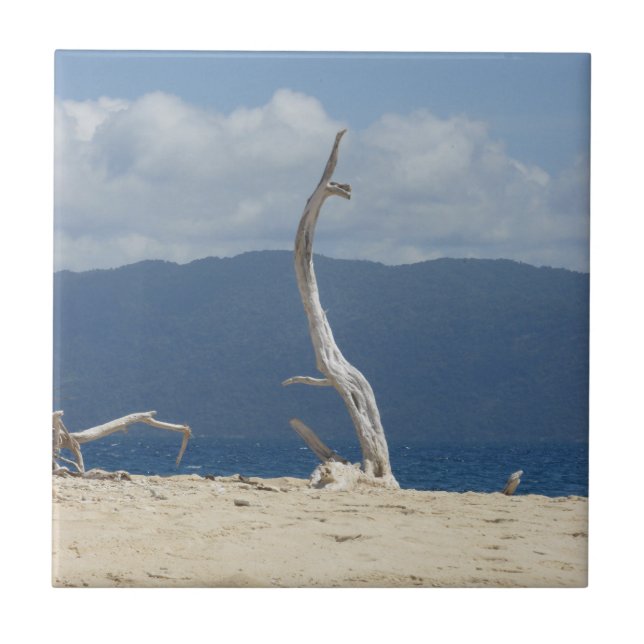 Azulejo cerâmico das Ilhas Frankland (Frente)