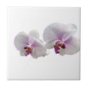 Azulejo cerâmico das Orchid Flowers