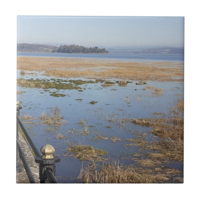 Azulejo Cerâmico de Alta Ocultação da Baía de More (Frente)