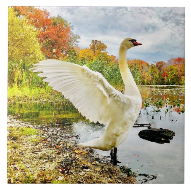 Azulejo cerâmico de Cisne e Queda (Frente)