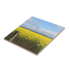 Azulejo cerâmico de colheita de ouros