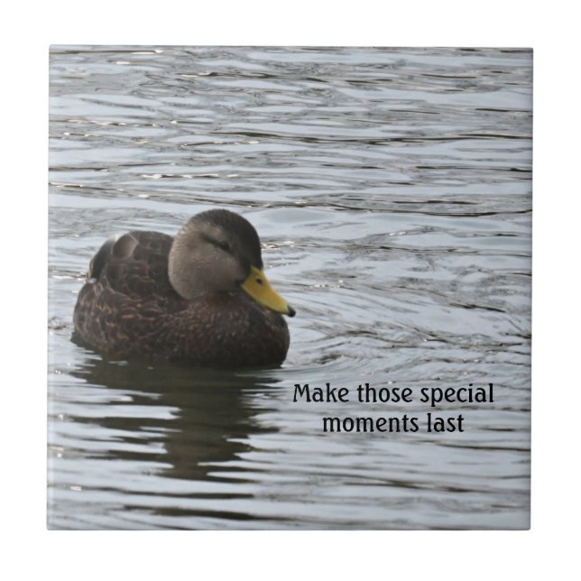 Azulejo Cerâmico de Foto Duck (Frente)