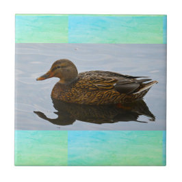 Azulejo Cerâmico de Foto Duck