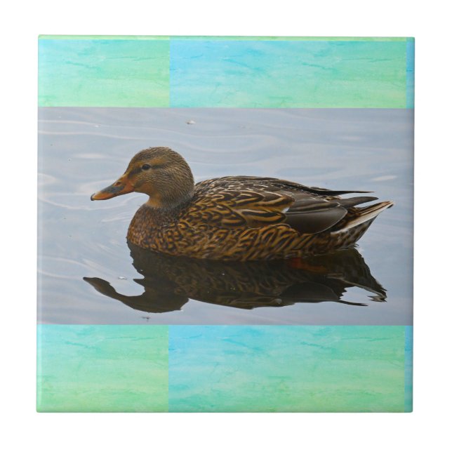 Azulejo Cerâmico de Foto Duck (Frente)